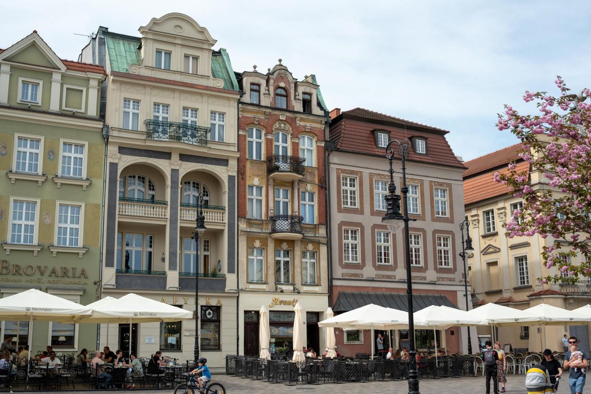 Apartamenty Drevny Kocur Posen Exterior foto